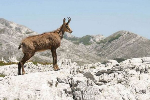 Ausflug zum Berg Biokovo (Naturpark)