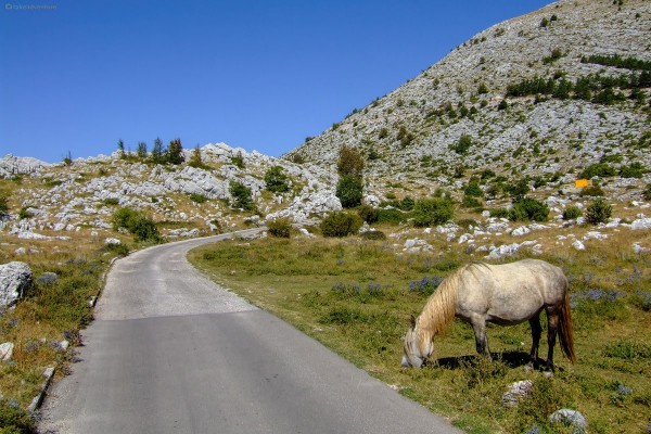 Ausflug zum Berg Biokovo (Naturpark)